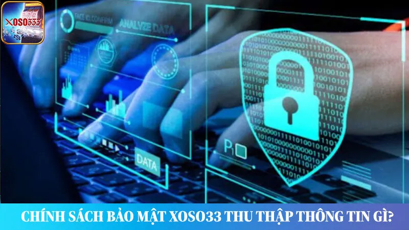 Chính sách bảo mật Xoso333 thu thập thông tin gì?