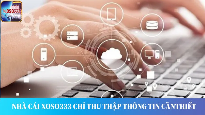 Chính sách bảo mật Xoso333 - Nhà cái chỉ thu thập những thông tin, dữ liệu cần thiết.
